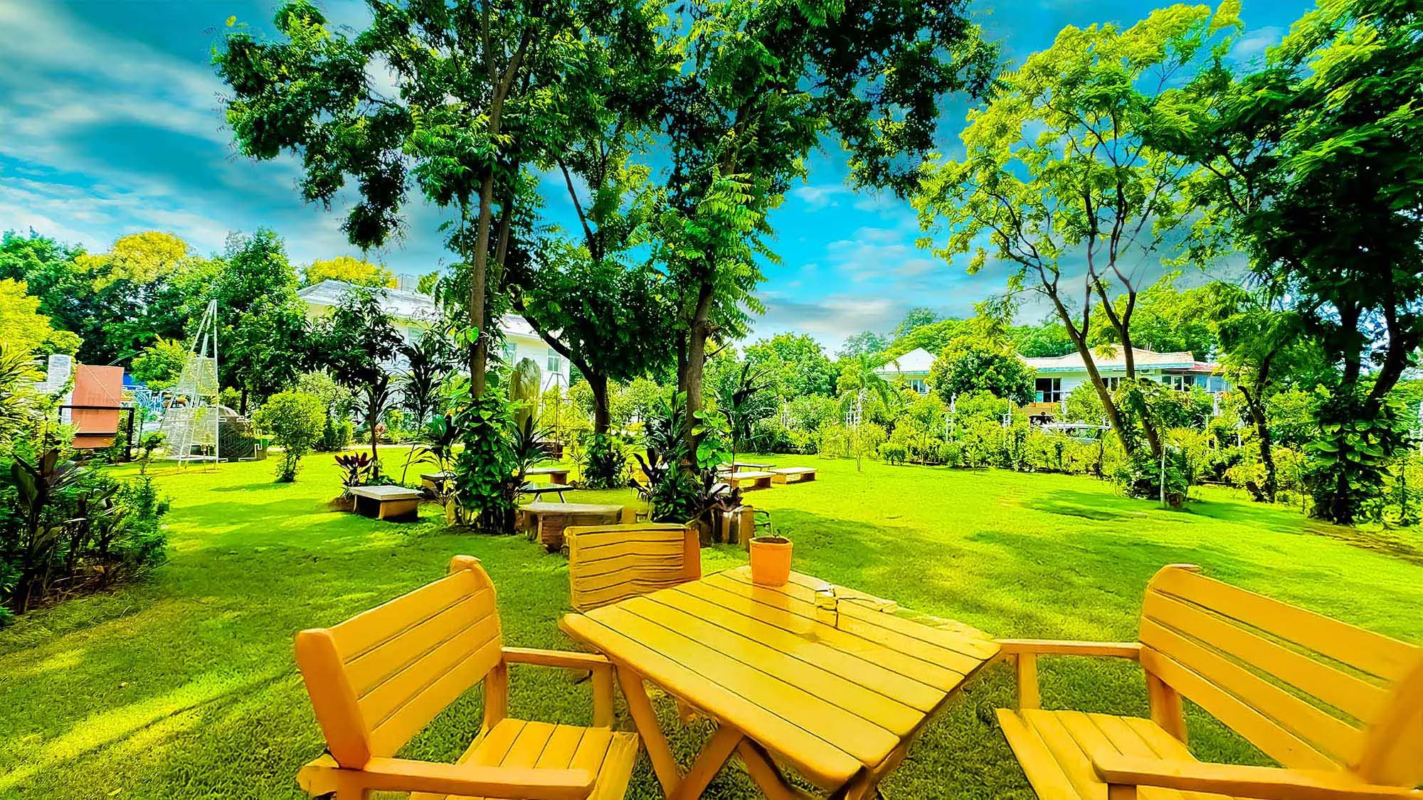 best-rehab-center-delhi